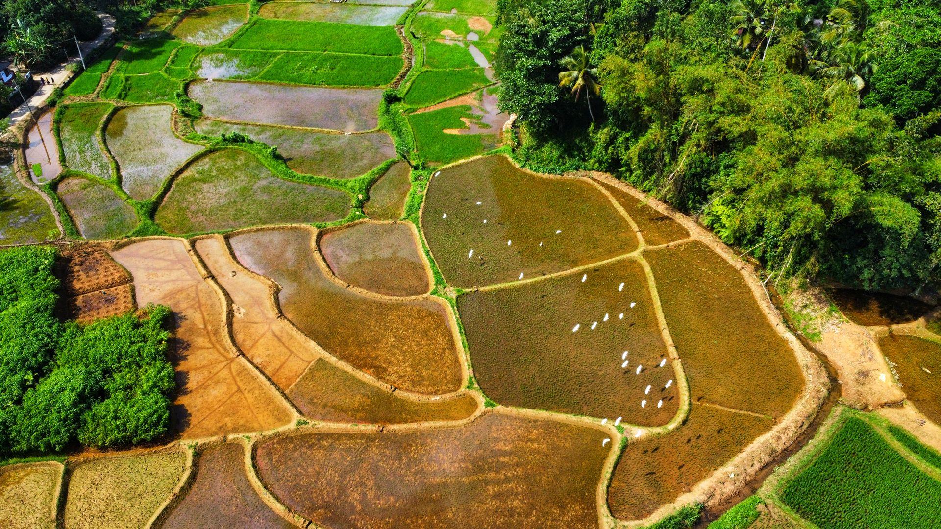 Land, Zoning & Legal